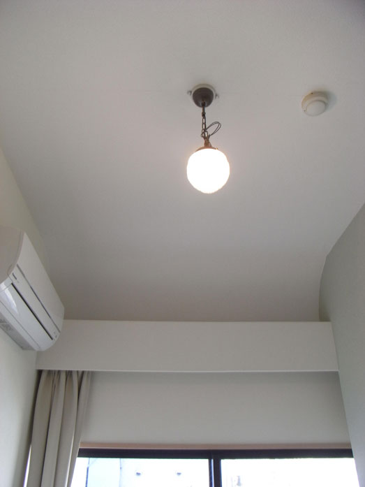 しゃくやく-照明